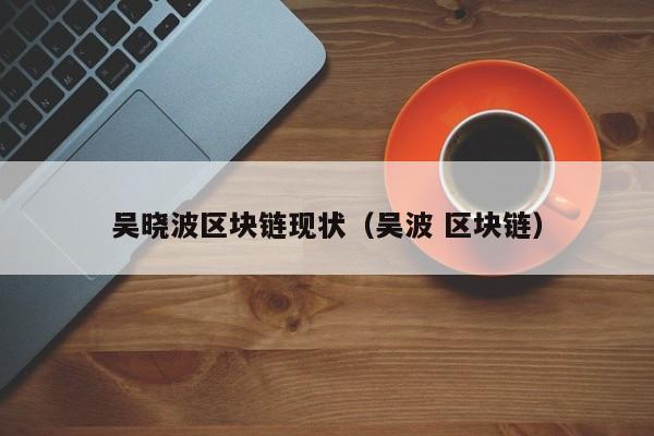 吴晓波区块链现状（吴波 区块链）