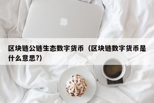 区块链公链生态数字货币（区块链数字货币是什么意思?）