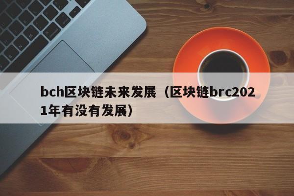 bch区块链未来发展（区块链brc2021年有没有发展）
